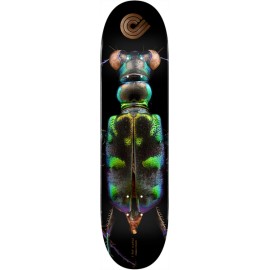 POWELL PERALTA biss tiger beetle 8.25