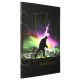 EMERICA EMERICA STAY GOLD DVD SKATEBOARD