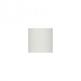 Grip transparent par 10 cm (clear griptape 11')